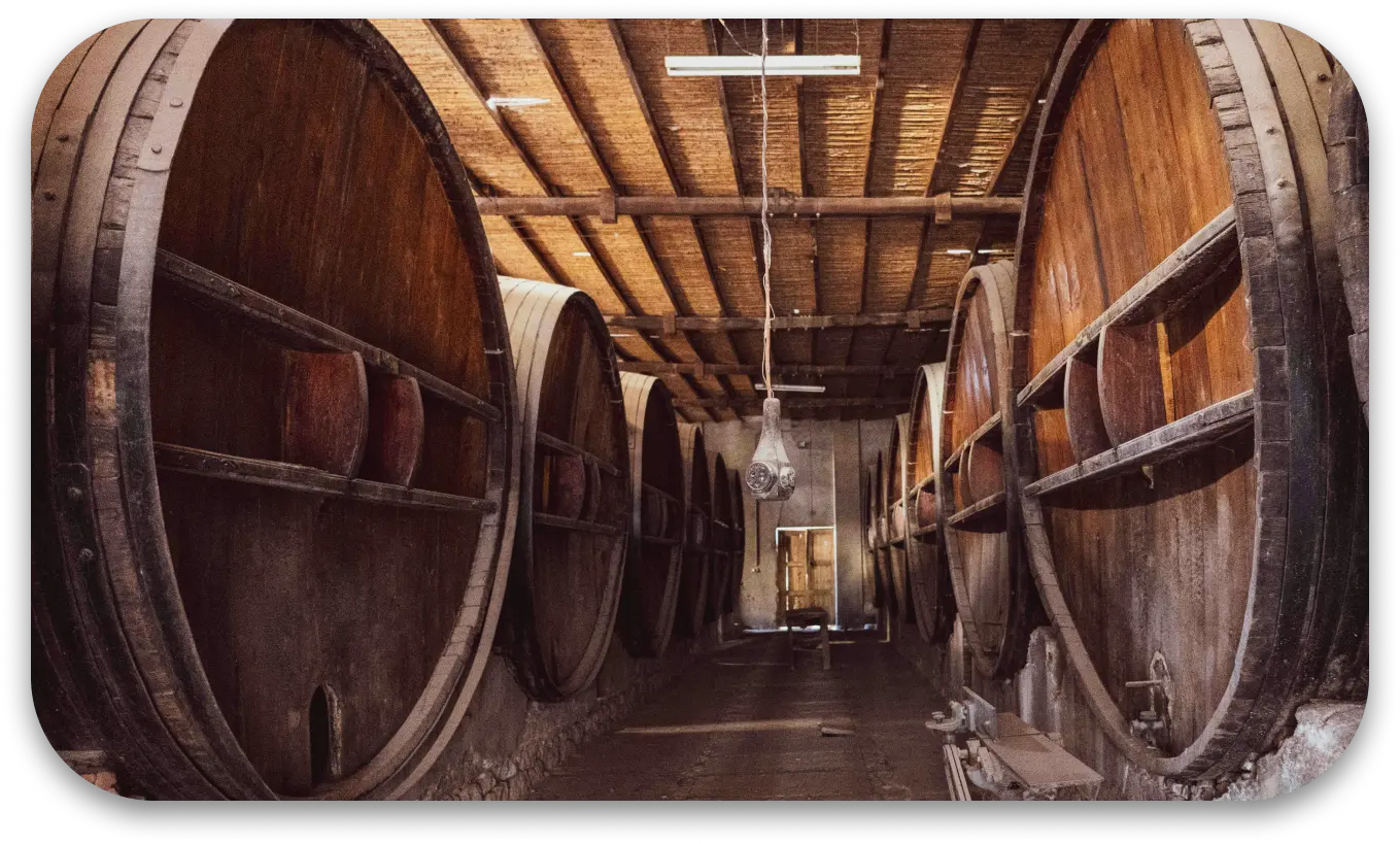 3 Bodegas en Mendoza
