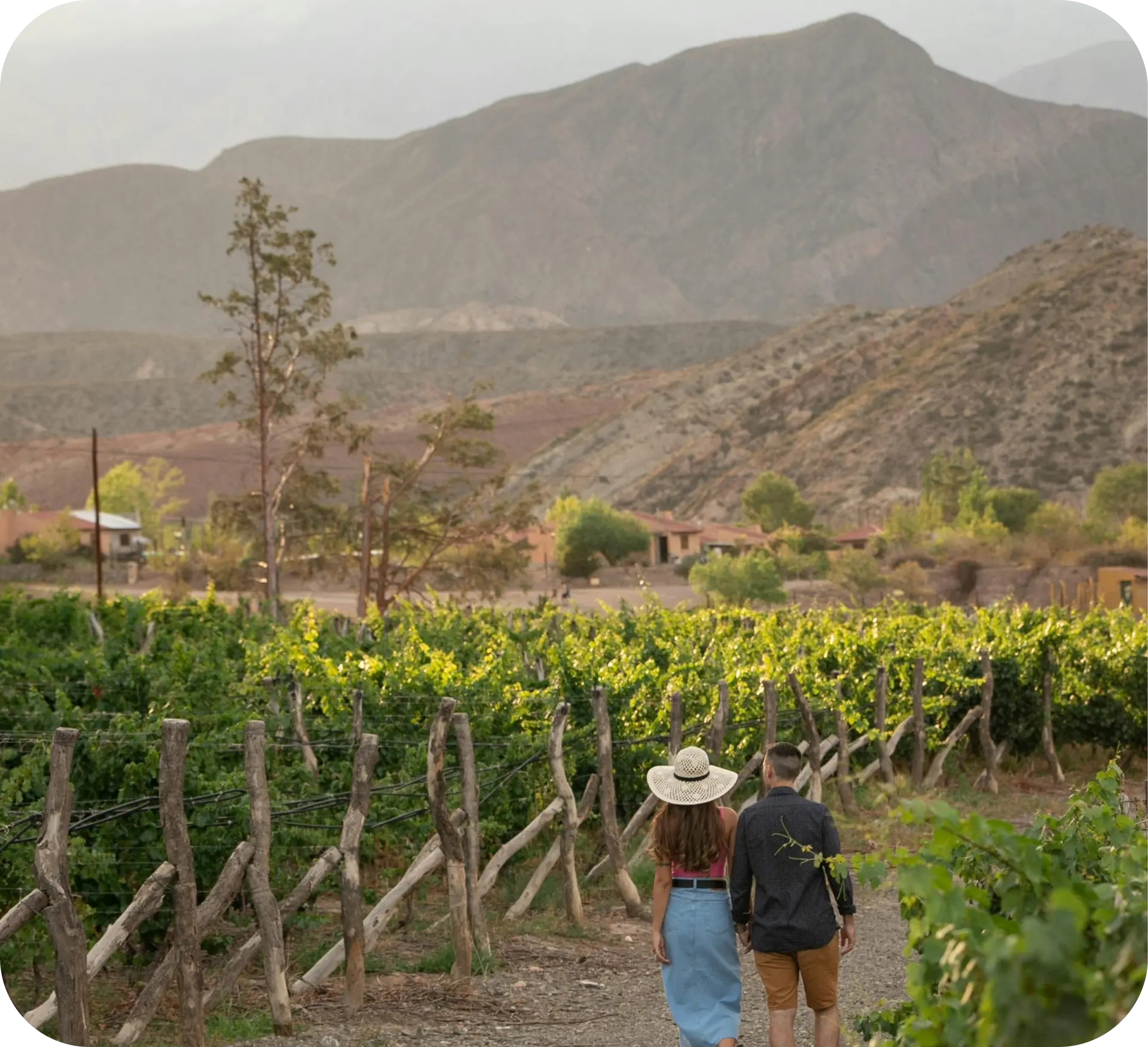 Viajes a Mendoza y bodegas