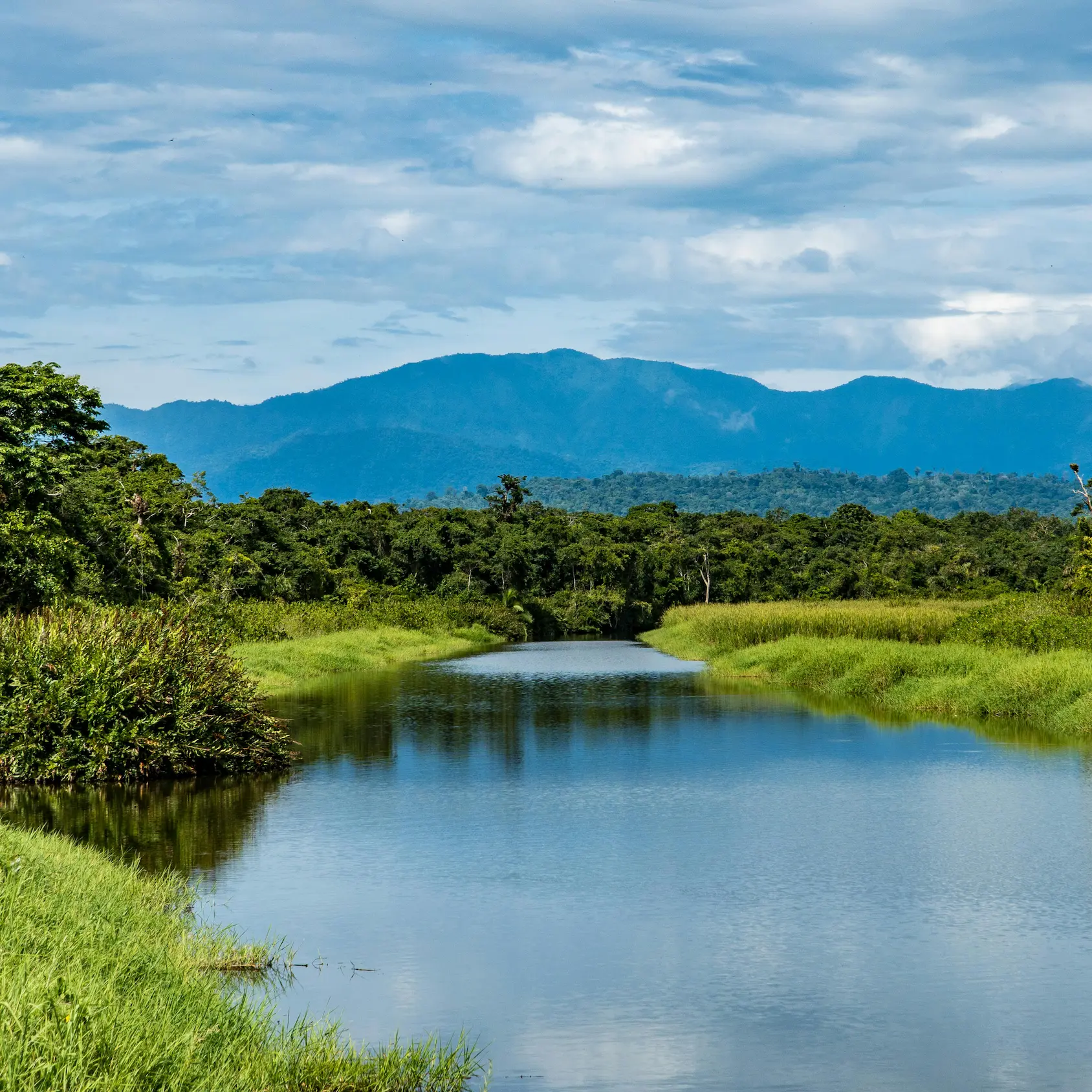 Viajes a la Amazonia brasileña