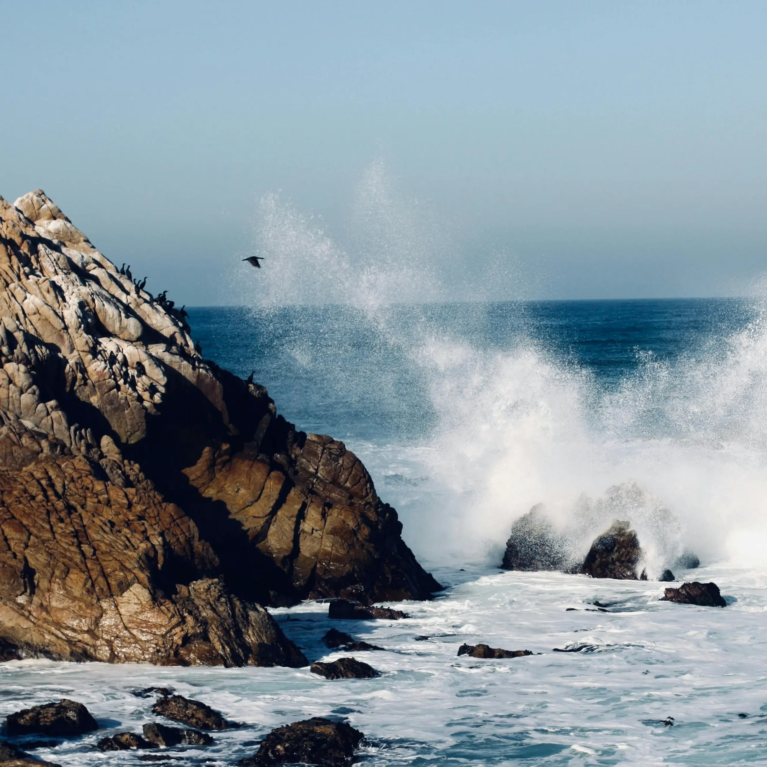 Viajes a Valparaíso y Viña del Mar