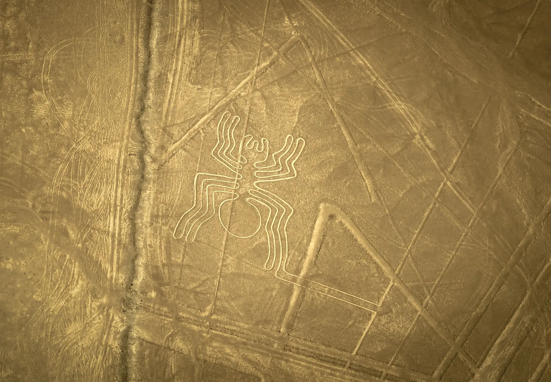 Viajes a Nazca y las Líneas de Nazca, Perú